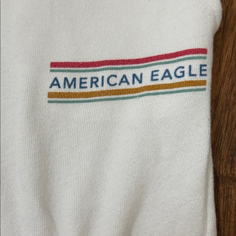 American Eagle Plush Terry Sweatpants Size Large Long - Picture 3 of 4